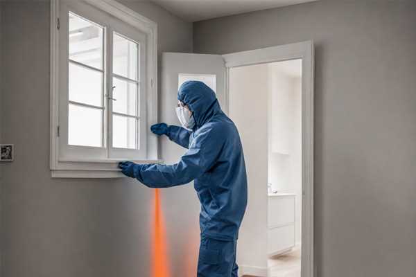 Guide des experts en destruction de guêpes