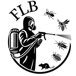 Florient, un destructeur de nids de guêpes à Draguignan