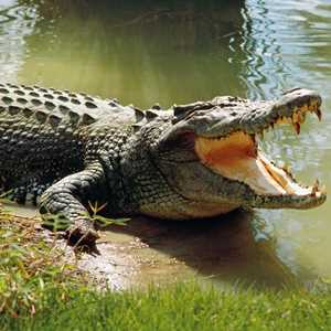 chloe, un agent d'entretien ménager à Troyes