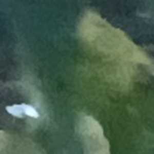 Grine , un déblayeur à Paris 15ème